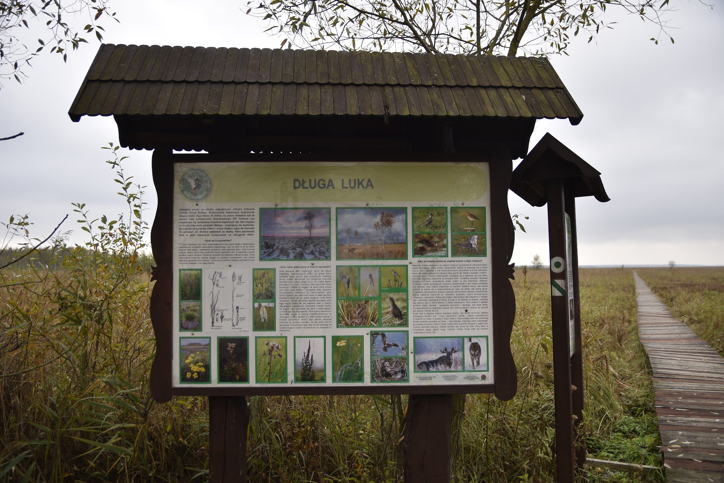 Ścieżka „Długa Luka”